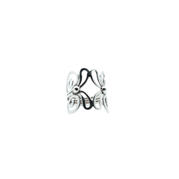 Anillo 66