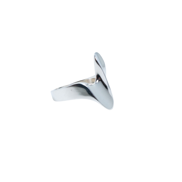 Anillo