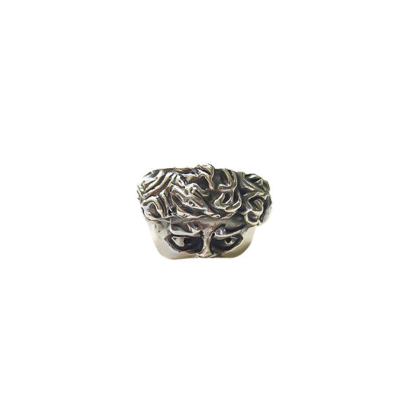 Anillo